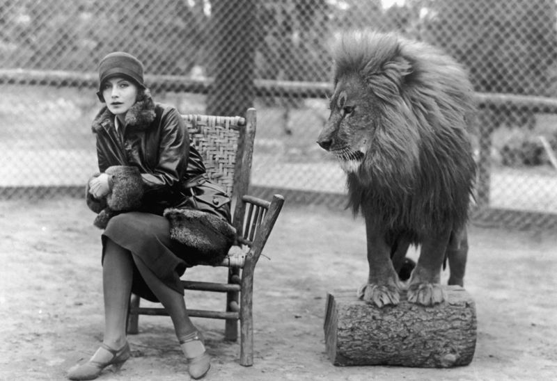 Greta & Leo The Lion At The Park