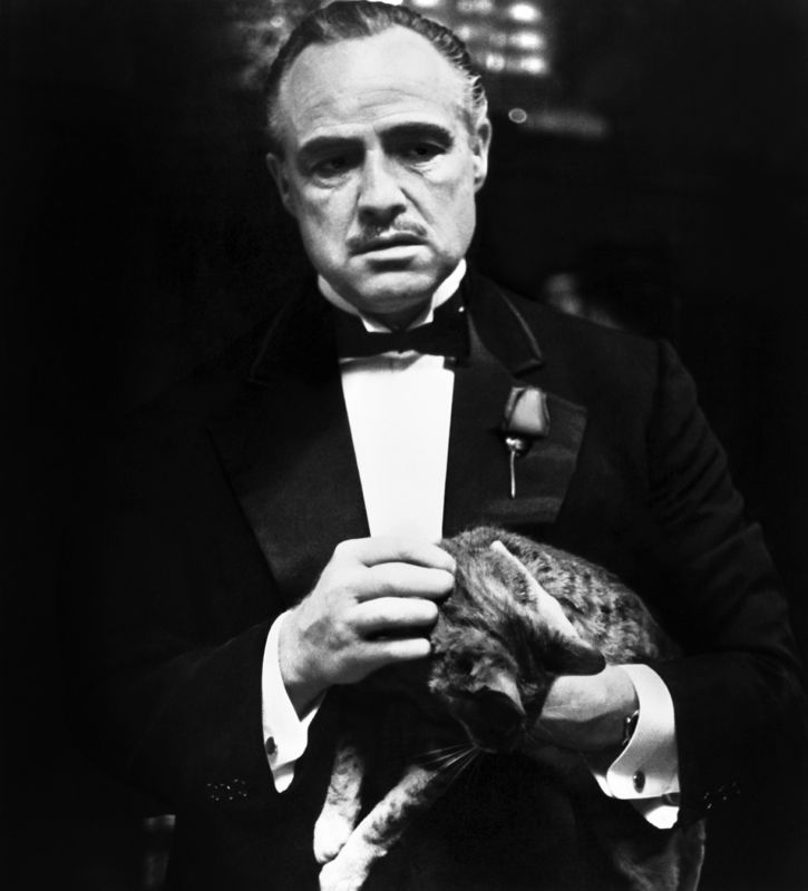 The Godfather