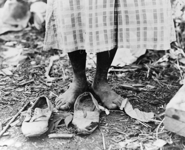 Cotton Picker