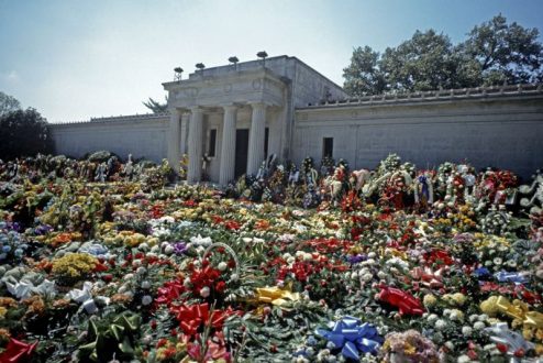 Elvis Flowers