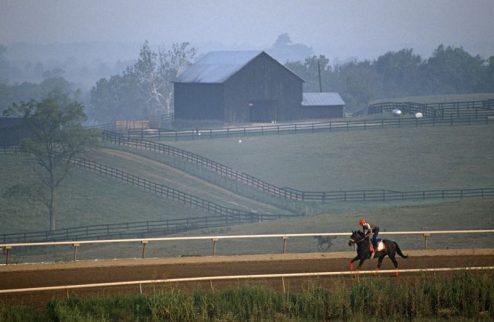 Racehorse Exercise