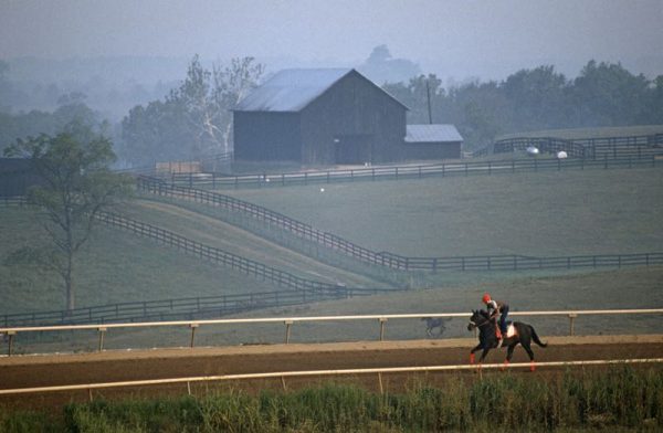 Racehorse Exercise