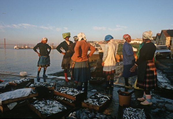 Lisbon Fisherwomen