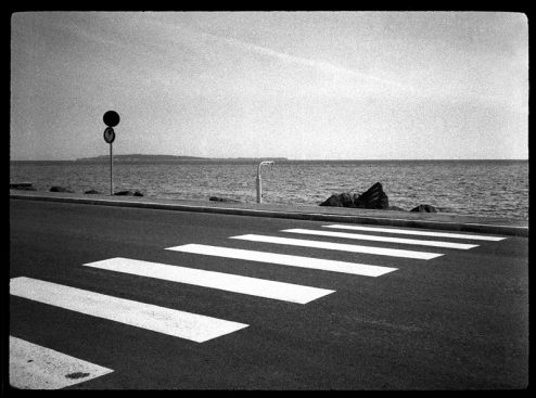 Zebra Crossing