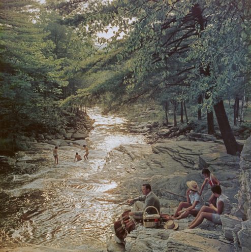 Campbell Falls Picnic